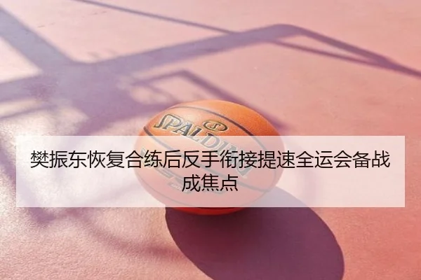 樊振东恢复合练后反手衔接提速全运会备战成焦点