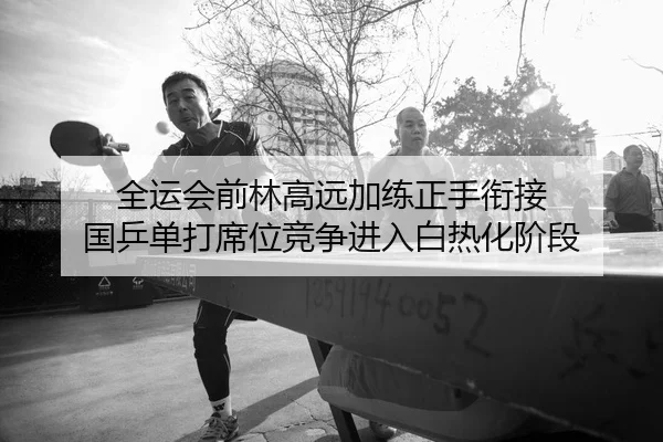 全运会前林高远加练正手衔接 国乒单打席位竞争进入白热化阶段